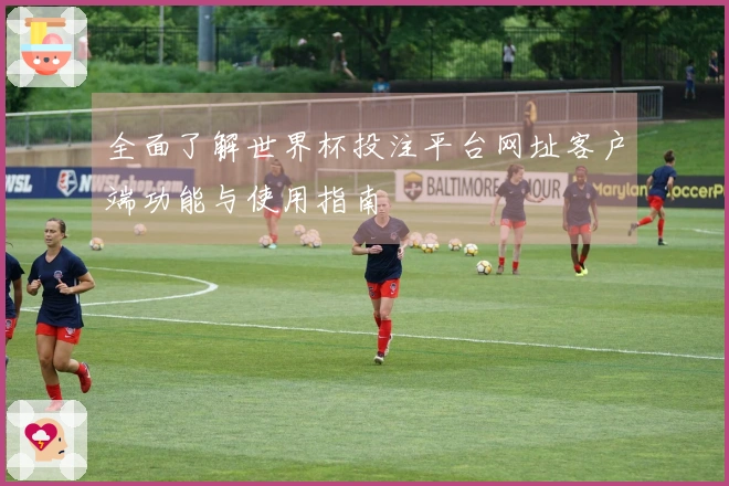 全面了解世界杯投注平台网址客户端功能与使用指南