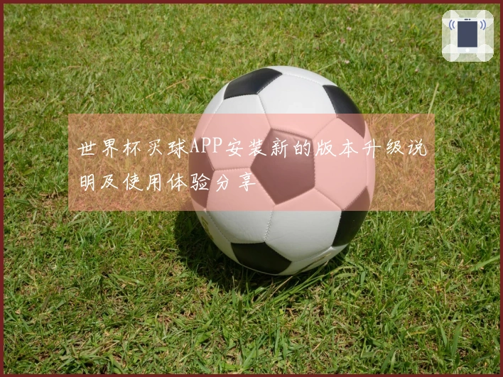 世界杯买球APP安装新的版本升级说明及使用体验分享