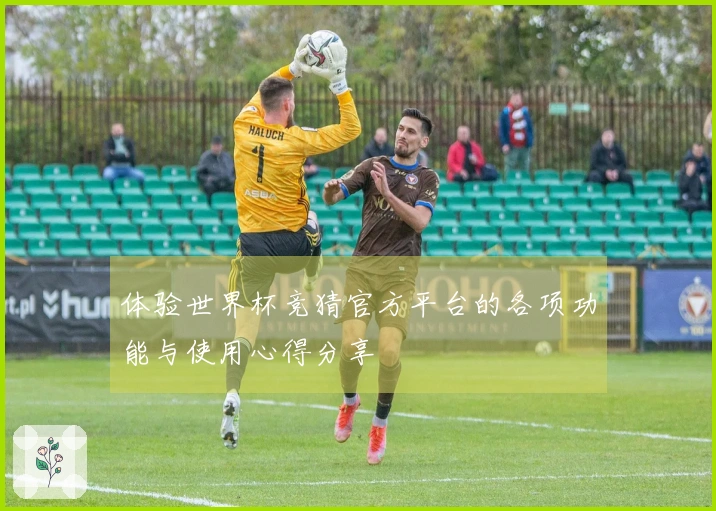 体验世界杯竞猜官方平台的各项功能与使用心得分享