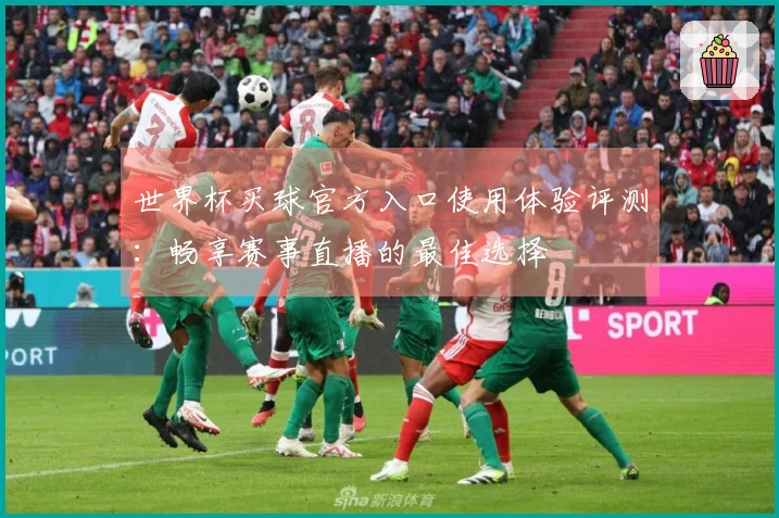 世界杯买球官方入口使用体验评测：畅享赛事直播的最佳选择