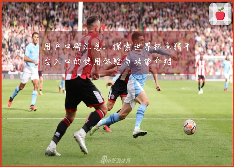用户口碑汇总：探索世界杯竞猜平台入口的使用体验与功能介绍