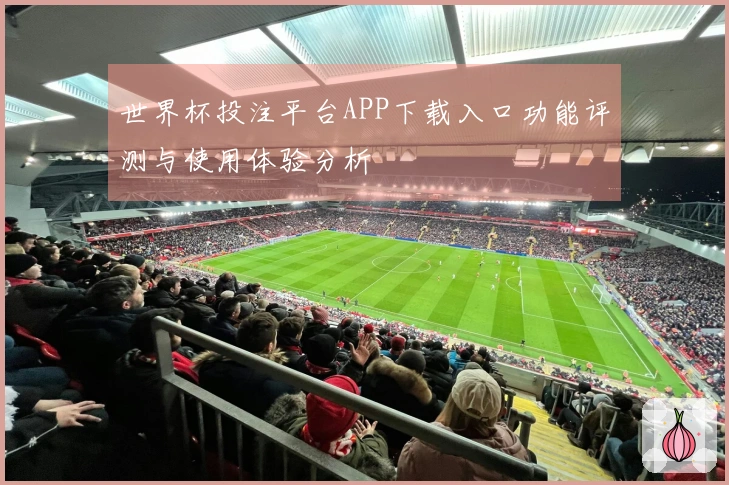 世界杯投注平台APP下载入口功能评测与使用体验分析