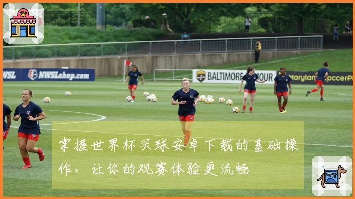 掌握世界杯买球安卓下载的基础操作，让你的观赛体验更流畅